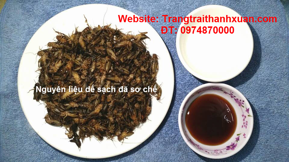 16114338_1547481705267673_1636343773289449625_n.jpg