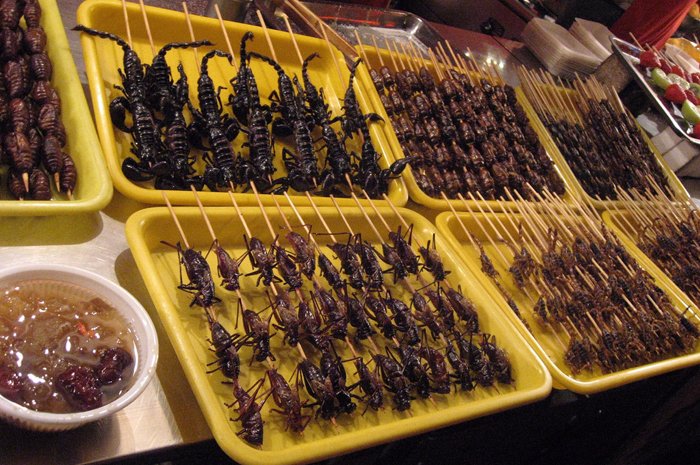 4-china bugs-flickr.jpg