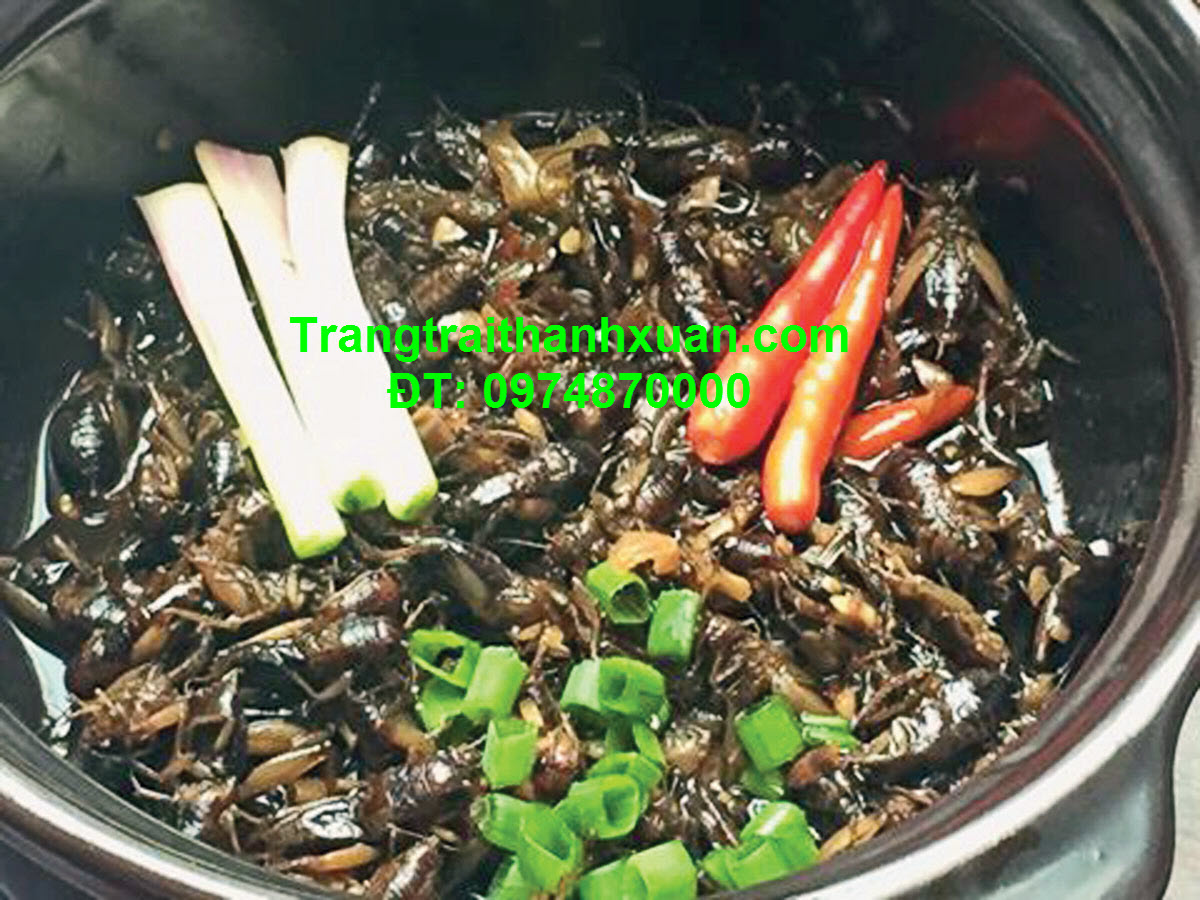 Dế kho tiêu 1.jpg