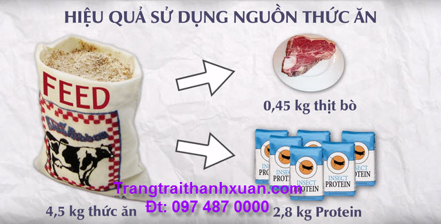 dung-so-con-trung-vi-do-chinh-la-nguon-luong-thuc-cua-tuong-lai (1).jpg