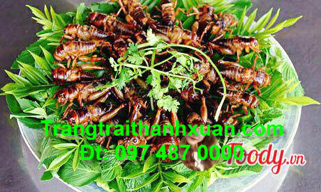 foody-de-men-quan-cac-mon-an-tu-con-trung-513-636151848729890033.jpg