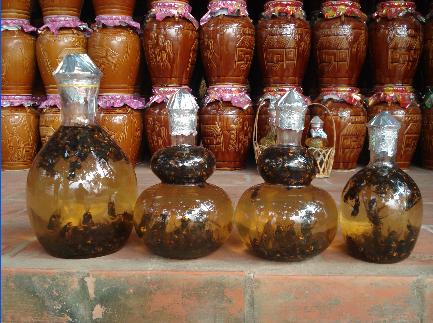 rượu dế 1.jpg