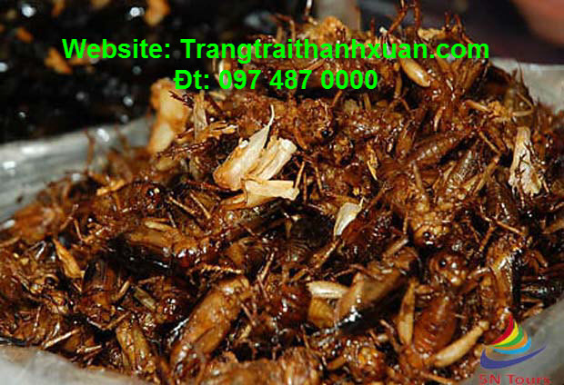 de-men-muong-lo-dac-san-la-tu-con-trung-2.jpg