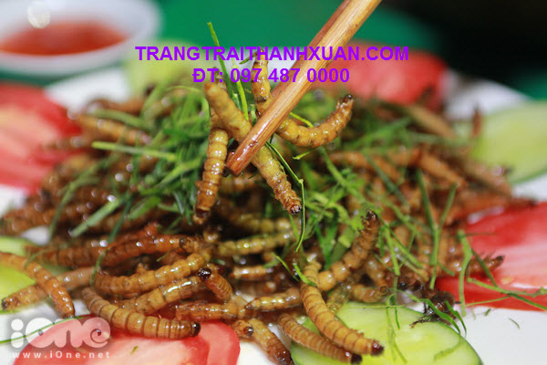 9x-mo-coi-mo-quan-an-con-trung-kiem-bac-trieu-moi-ngay-5.jpg