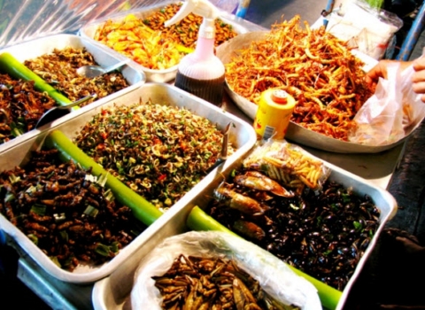 contrung-thailan1.jpg